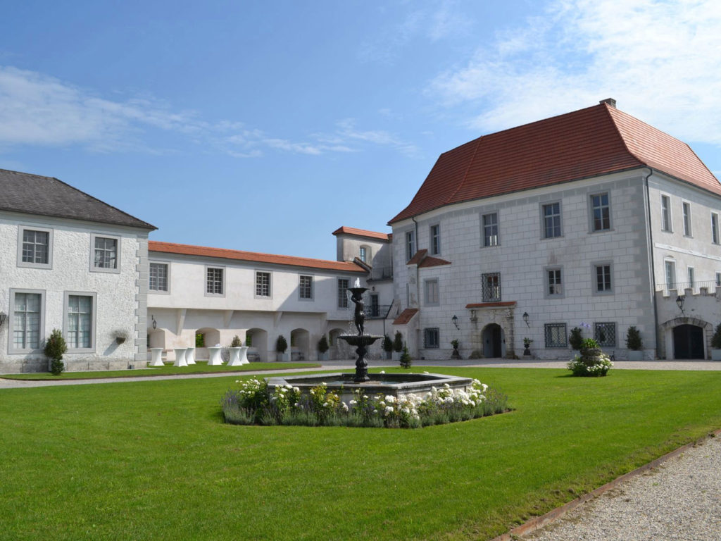 Schloss-Viehofen1