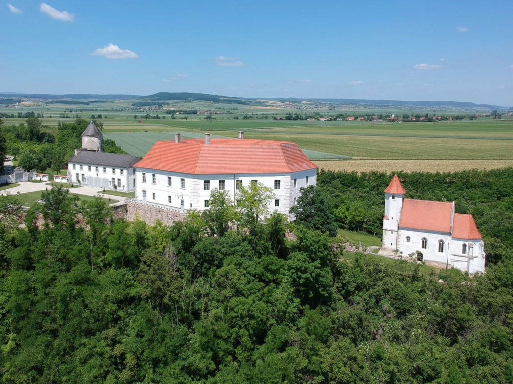 Schloss-Viehofen5